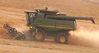 Wheat harvest